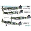 Sword 72095 Supermarine Spitfire Mk.XIV C/E 1:72